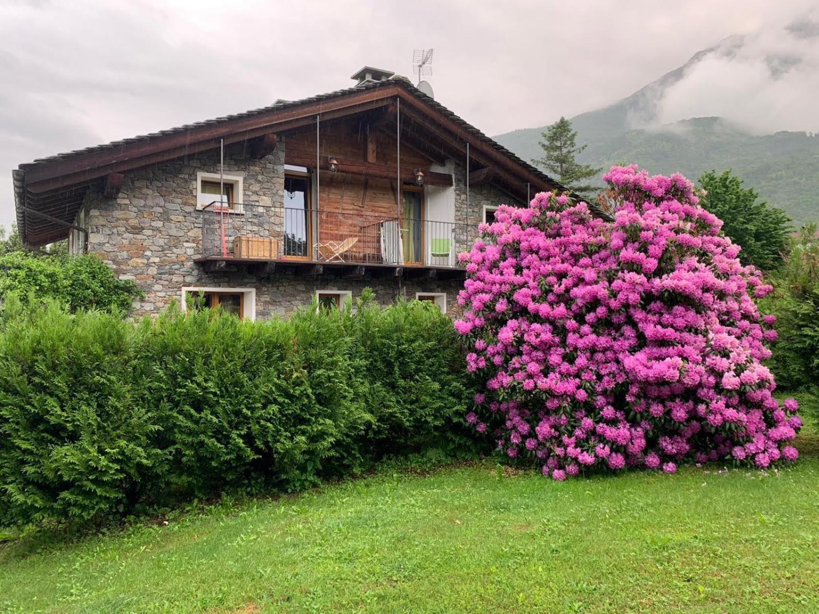 Casa Unica- Da Bruno Lägenhet Colico Exteriör bild